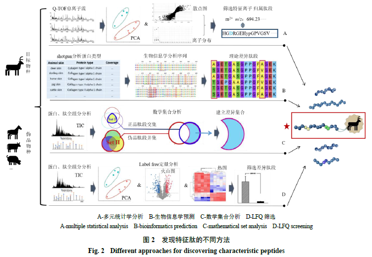 简述液质联用仪的工作原理_液质联用仪实验报告_液质联用仪主要测什么