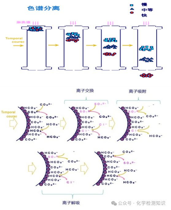 离子色谱仪如何抑制淋洗液的电导_离子色谱淋洗液配制比例_离子色谱仪中淋洗液的作用