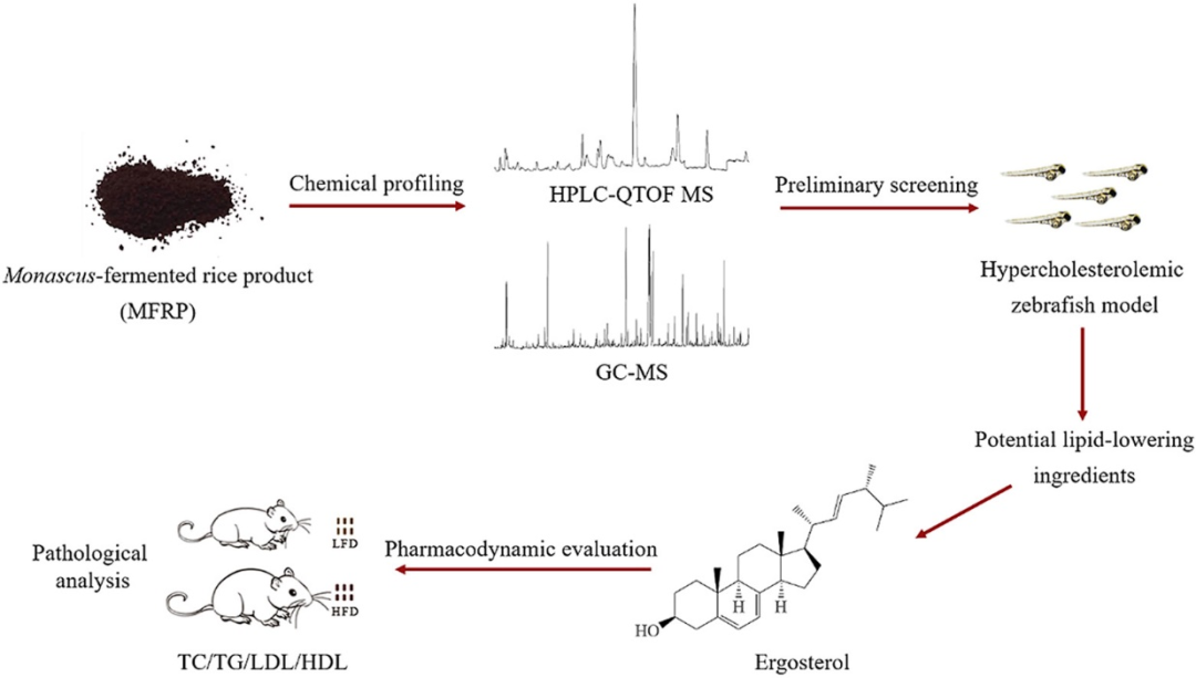 气质联用仪检定规程_气质联用仪检测_气质联用仪的检测器